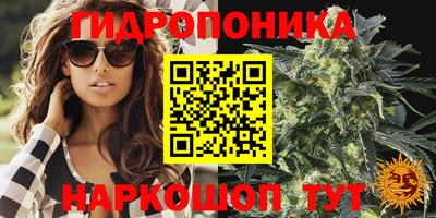 шишки Кунгур