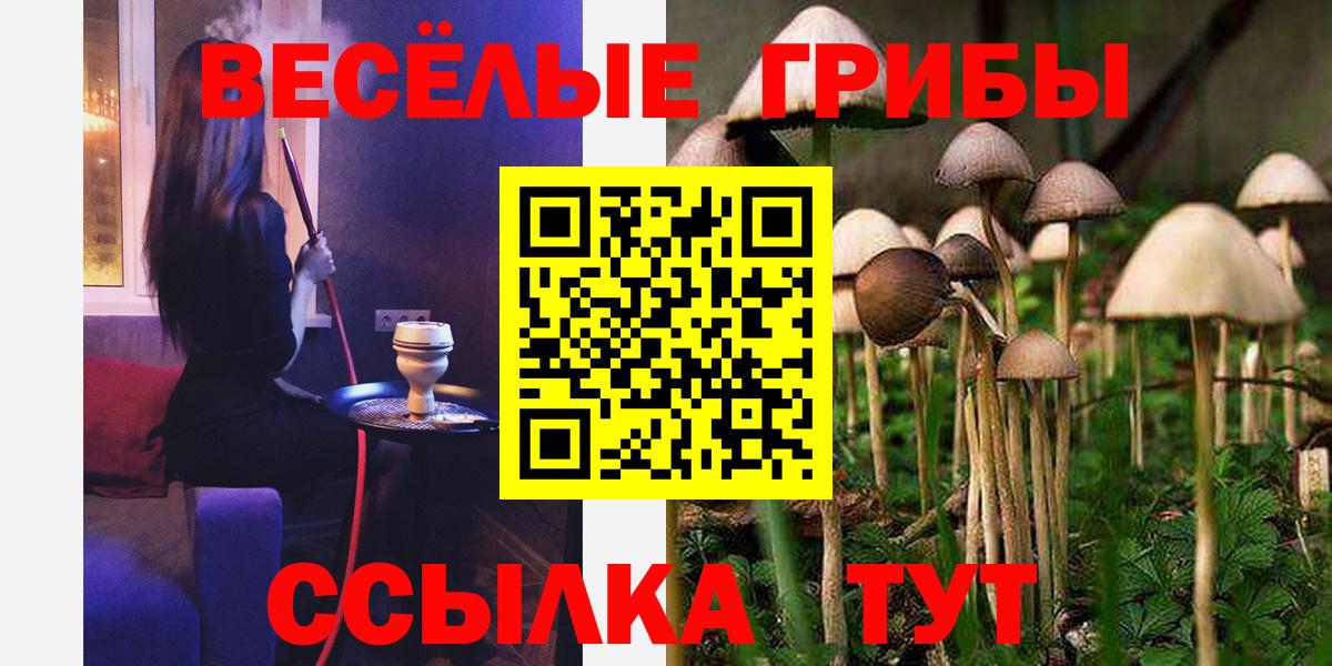 Псилоцибиновые грибы Cubensis Ишимбай